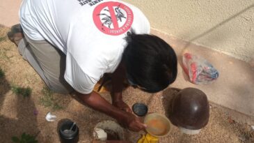 com-323-mil-casos-provaveis-mg-deve-atingir-pico-da-dengue-em-marco