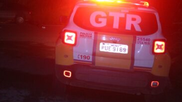 gtr-apreende-revolver-durante-operacao-em-itabira