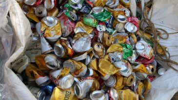 brasil-registra-reciclagem-de-987-de-latas-de-aluminio-em-2021