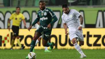 palmeiras-bate-america-mg-e-abre-vantagem-na-ponta-do-brasileiro