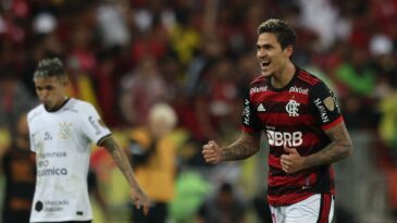 CONMEBOL Libertadores on X: 🌍🏆 Pede o mundo de novo! O @Flamengo será o  representante da América do Sul no Mundial de Clubes @FIFAcom de 2023. 🔴⚫️  Boa sorte ao campeão da