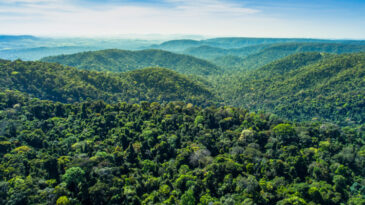 vale-adere-a-campanha-da-business-for-nature