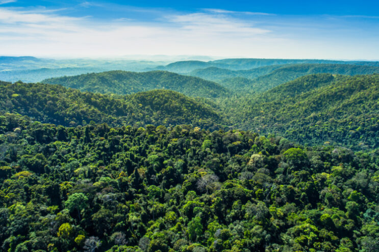 vale-adere-a-campanha-da-business-for-nature