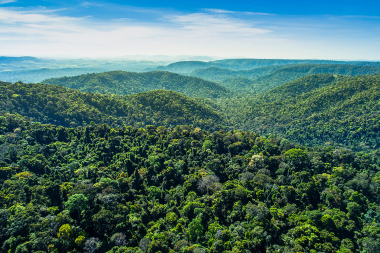 vale-adere-a-campanha-da-business-for-nature