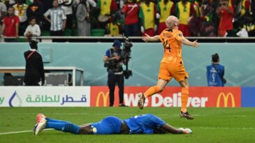 holanda-estreia-com-vitoria-de-2-a-0-sobre-senegal