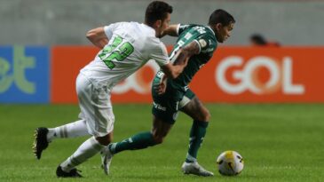 palmeiras-recebe-o-america-mg-no-jogo-de-entrega-da-taca