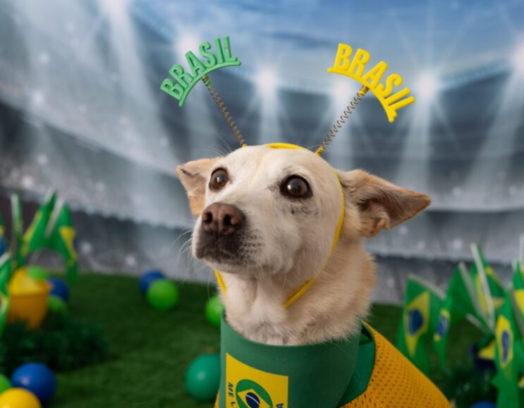 campanha-para-adocao-de-animais-se-inspira-na-copa-do-mundo
