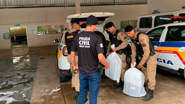 ministerio-publico-deflagra-operacao-contra-fraudes-no-detran