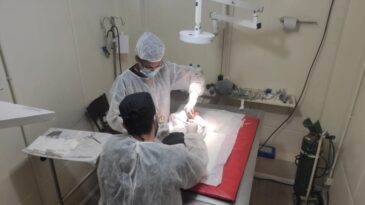 castramovel-atende-em-sao-goncalo-ate-quinta-feira