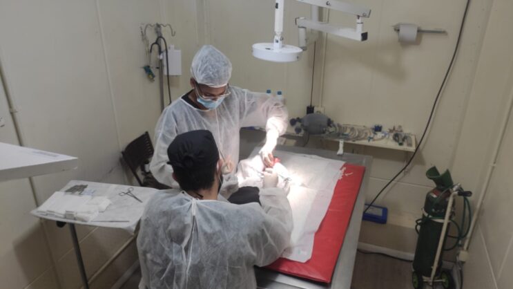 castramovel-atende-em-sao-goncalo-ate-quinta-feira