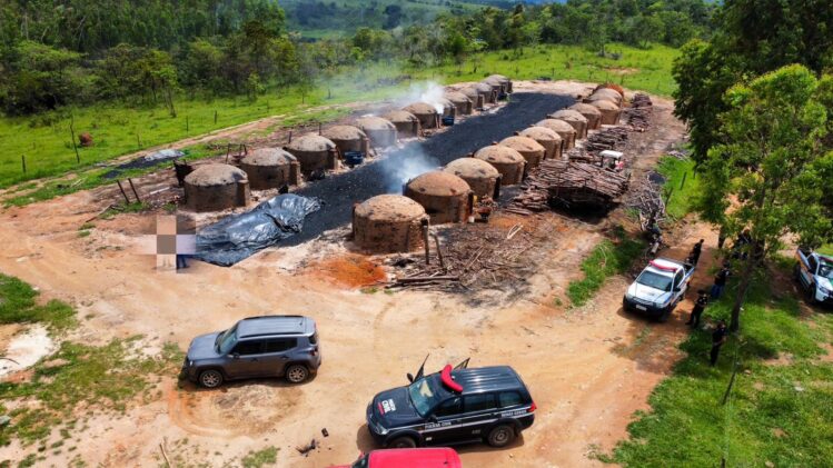 acao-conjunta-mira-trabalho-escravo-no-interior-de-minas