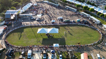 concurso-de-marcha-reune-mais-de-200-animais-em-sao-goncalo