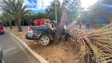 carro-fica-totalmente-destruido-ao-colidir-com-arvore