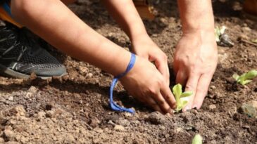 estado-oferece-curso-ead-de-educacao-ambiental