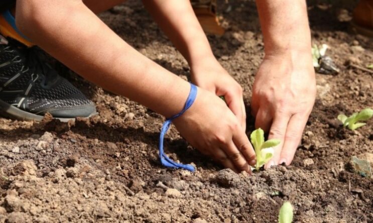 estado-oferece-curso-ead-de-educacao-ambiental