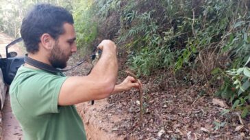 biologo-confirma-ocorrencia-de-especie-rara-no-peti