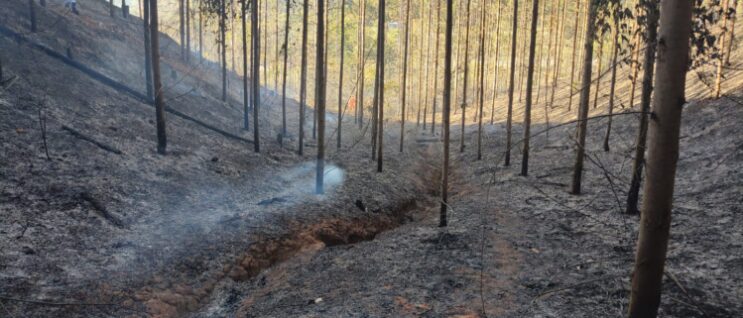 brigadista-morre-durante-combate-a-incendio-na-area-da-cenibra