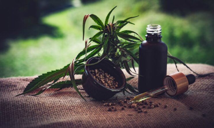 stj-autoriza-tres-pacientes-a-cultivarem-cannabis-para-fins-medicinais