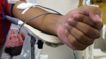 fiocruz-desenvolve-kit-que-detecta-sangue-infectado-com-malaria