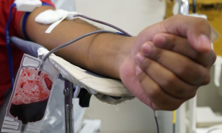 fiocruz-desenvolve-kit-que-detecta-sangue-infectado-com-malaria
