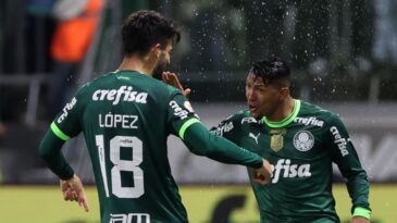 palmeiras-arranca-vitoria-para-assumir-vice-lideranca-do-brasileiro