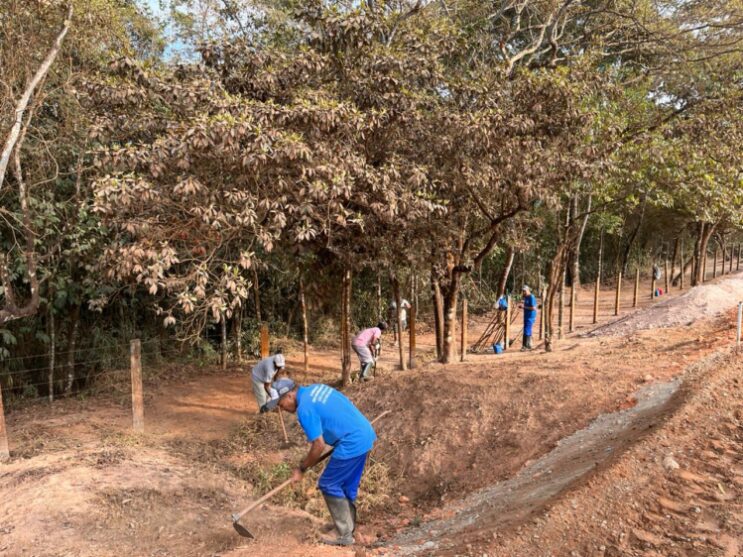 estacao-ambiental-de-peti-recebe-aceiro-na-prevencao-contra-incendios