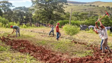 justica-nega-reintegracao-em-fazenda-ocupada-pelo-mst-em-minas