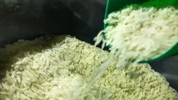governo-autoriza-compra-de-1-milhao-de-toneladas-de-arroz