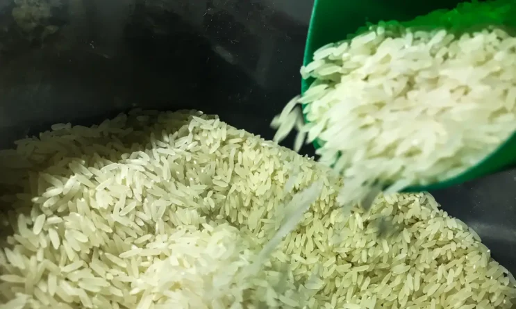 governo-autoriza-compra-de-1-milhao-de-toneladas-de-arroz