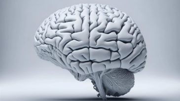 entenda-como-o-cerebro-pode-influenciar-a-dor-cronica