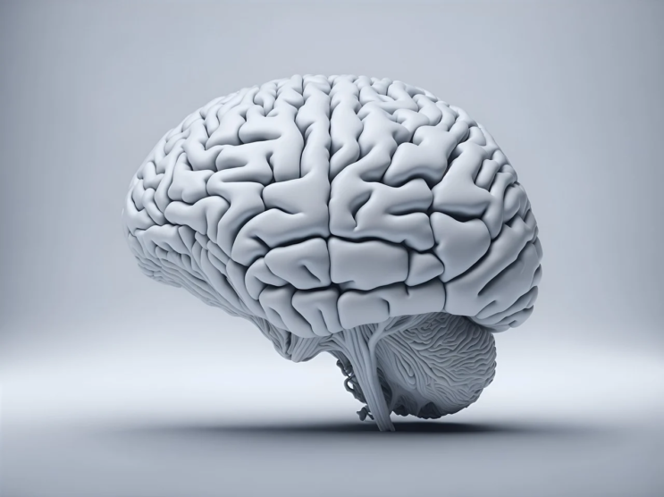 entenda-como-o-cerebro-pode-influenciar-a-dor-cronica