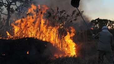 queimadas-ja-prejudicam-mais-de-45-mil-clientes-da-cemig