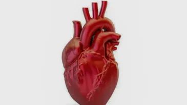 doencas-cardiovasculares-matam-400-mil-brasileiros-por-ano