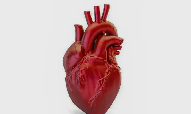 doencas-cardiovasculares-matam-400-mil-brasileiros-por-ano