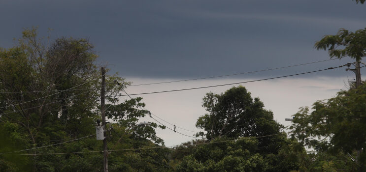 inmet-coloca-minas-sob-alerta-de-chuvas-intensas-neste-sabado-31