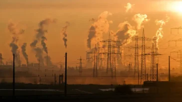 onu-confirma-2024-como-o-ano-mais-quente-em-175-anos