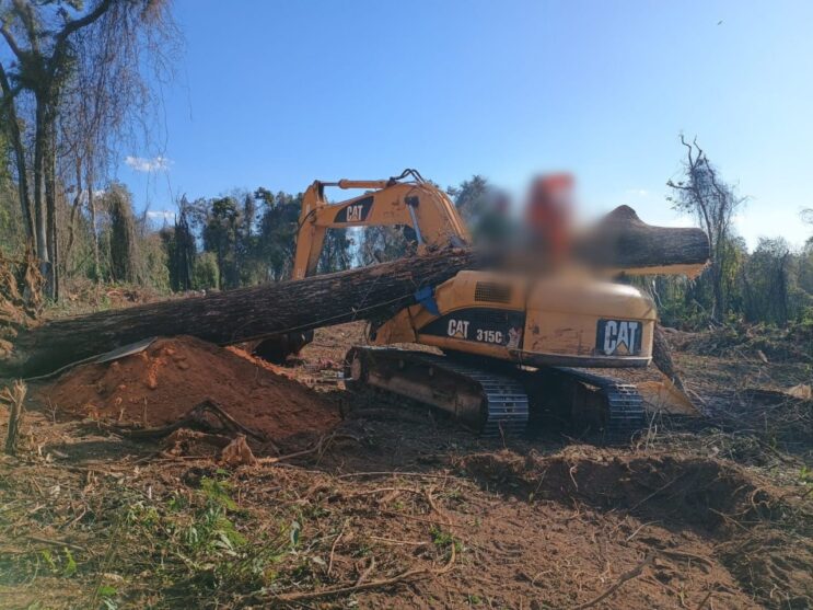 homem-morre-apos-maquina-ser-atingida-por-arvore-de-grande-porte
