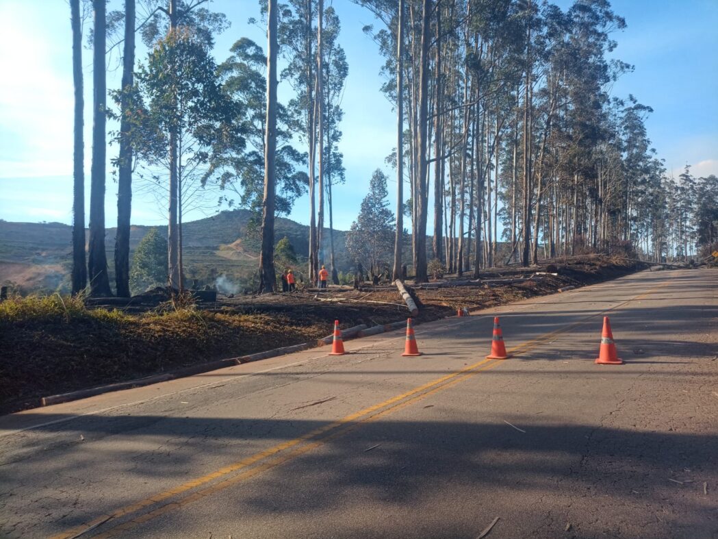 incendio-provoca-queda-de-arvores-e-interdita-totalmente-a-mg-129-em-itabira