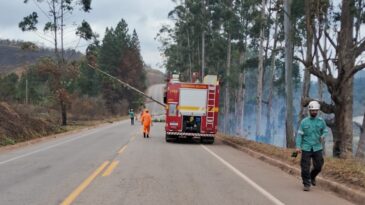 incendio-provoca-queda-de-arvores-e-interdita-mg-129-em-itabira