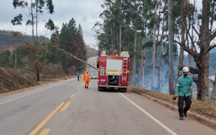 incendio-provoca-queda-de-arvores-e-interdita-mg-129-em-itabira