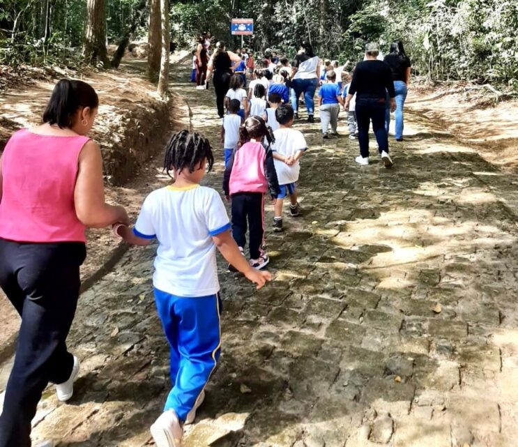 sao-goncalo-celebra-o-dia-da-arvore-com-atividades-educativas-e-ambientais