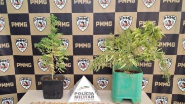 pm-apreende-menor-por-trafico-de-drogas-e-posse-de-arma-em-joao-monlevade
