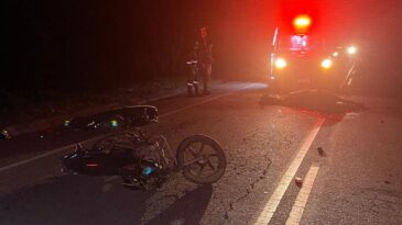 animal-na-pista-provoca-acidente-fatal-na-mg-129-em-itabira