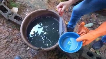 itabira-contra-a-dengue-participe-do-dia-d-neste-sabado