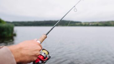 piracema-termina-neste-sabado-31-e-pesca-volta-a-ser-liberada-em-alguns-estados