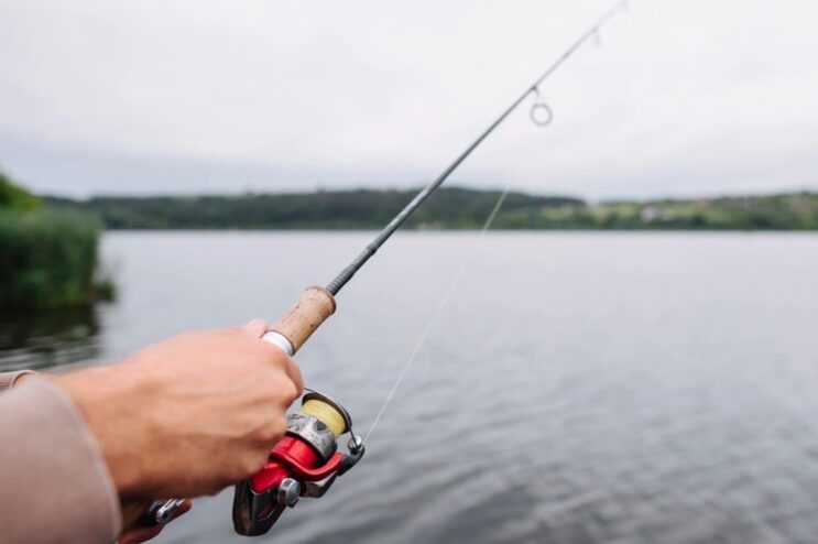 piracema-termina-neste-sabado-31-e-pesca-volta-a-ser-liberada-em-alguns-estados