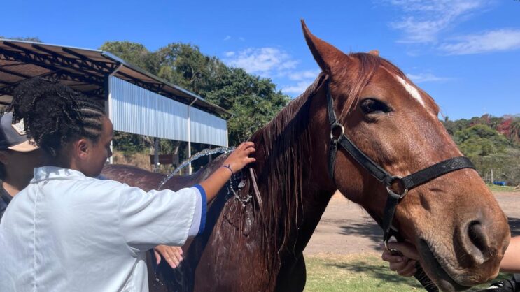 prefeitura-amplia-projeto-de-equoterapia-e-reforca-inclusao
