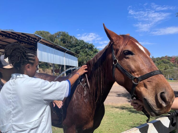 prefeitura-amplia-projeto-de-equoterapia-e-reforca-inclusao