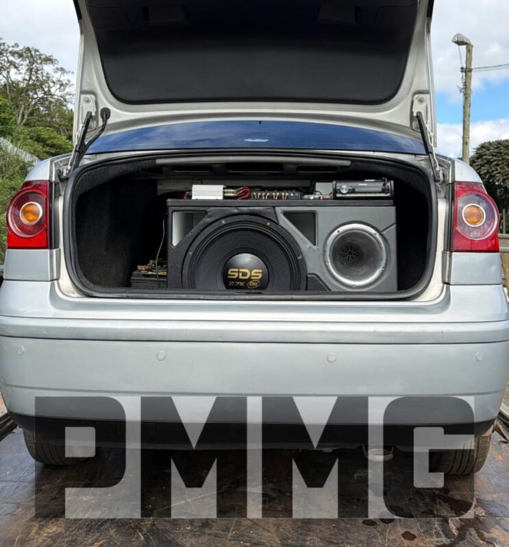 som-alto-termina-com-dois-detidos-por-perturbacao-do-sossego