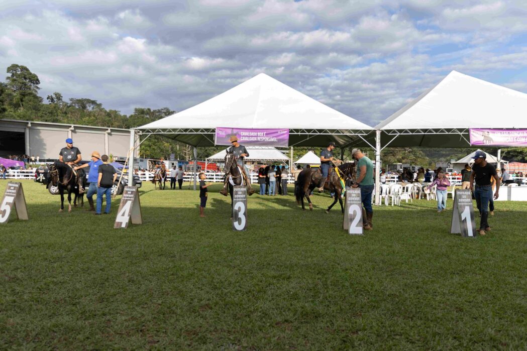 concurso-de-marcha-reune-345-animais-na-cavalgada-de-sao-goncalo